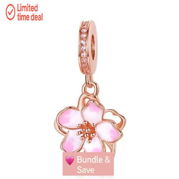 10 Silver Charms Set for Bracelets & Necklaces, Hypoallergenic Alloy Steel - Picture 5 of 8